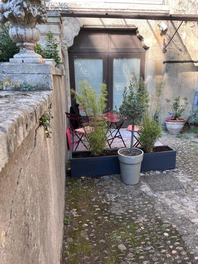 Salut Le Petit Gite Carcassonne Extérieur photo
